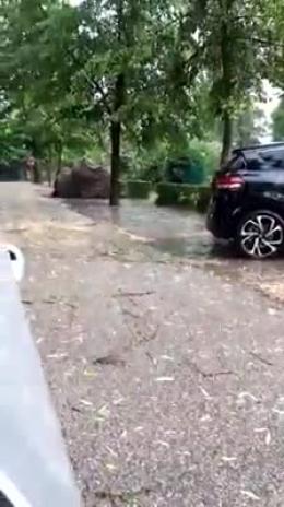 Il video dei danni: alberi sradicati dal vento
