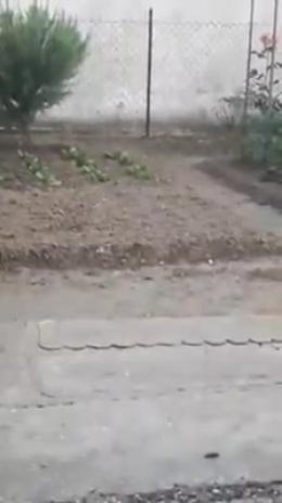 Violentissimo temporale su Lendinara, grandine e qualche allagamento