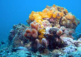 Il mare racconta le sue storie