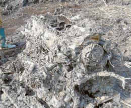 I parenti del pilota morto verranno in città