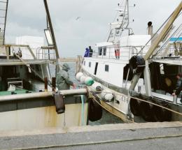 Flag-Gac, bandi per 1,6 milioni