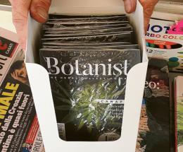 Canapa "light" in vendita in edicola