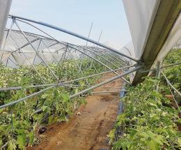 Seconda mazzata per gli agricoltori