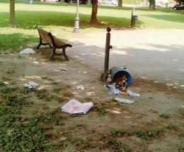 Vandali sovrani del parco Munari