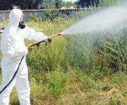 West Nile, nuove vittime e contagi