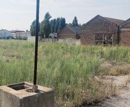 Ratti e zanzare, serve la bonifica