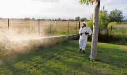 Zecche al parco, scatta la disinfestazione