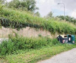 “Sfalcio del verde in ritardo, prevenzione West Nile assente”