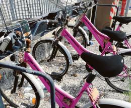 Le carcasse fucsia del bike sharing