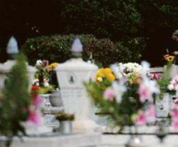 Rubano fiori e vasi dalle tombe