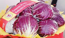 Il radicchio di Chioggia a "I Fatti vostri"