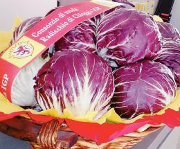 Radicchio di Chioggia, 10 anni di Igp