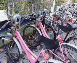 I rottami del bike sharing resistono