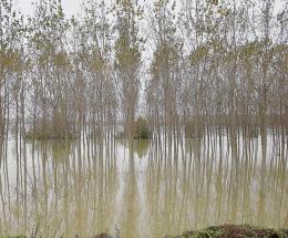 Po in piena, un centimetro all’ora