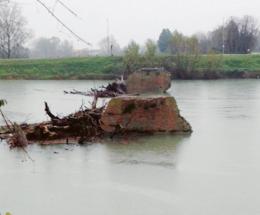 Grossi tronchi e detriti sull’Adige