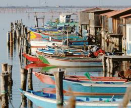 Mezzo milione per giostra e pesca