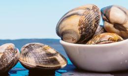 Nasce "Delta &egrave; Gusto - Una rete di sapori"