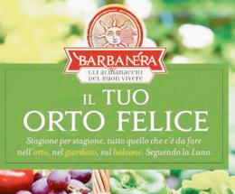Tutti i segreti per coltivare un orto davvero perfetto