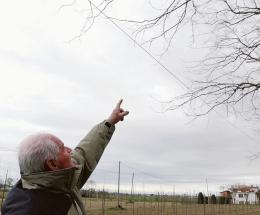 Rami sui cavi elettrici e frane