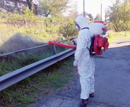 Parte la lotta alle zanzare