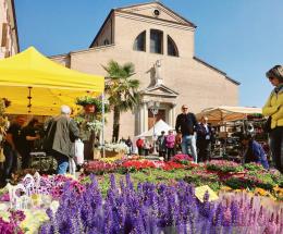 Tutto pronto per “Adria in fiore”