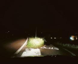Lampioni spenti a Gallianta