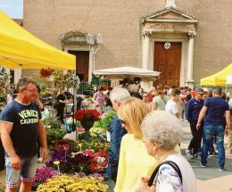 I fiori “spuntano” nelle piazze