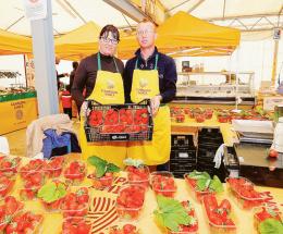Ecco le fragole dei nostri campi