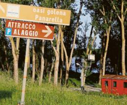 Orrore al porticciolo: identificato il cadavere