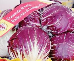 Radicchio da valorizzare, il corso