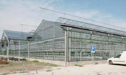 Crisi Florsystem, si apre uno spiraglio