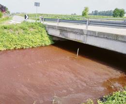 Scolo rosso sangue tra i campi