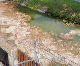 Valdentro rosso, colpa dell’alga