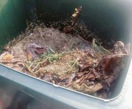 Raccolta erba, &ldquo;da luned&igrave; qui non si vede nessuno&rdquo;