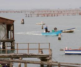 Diritti di pesca, “per questo stallo, danni per 10 milioni di euro”