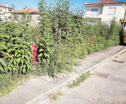 Se la strada diventa uno sterrato