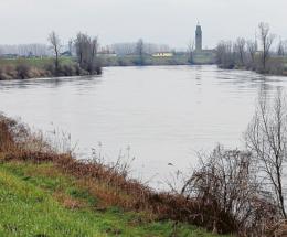 Caos e allarme salmonella, la Regione interviene