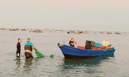 Lagune ai pescatori per 15 anni: la Provincia fa aprire due indagini