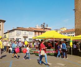 Un giorno da contadini per 500