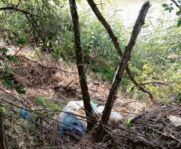 Discarica in via Traversagno