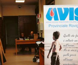 Avis e Aido, una festa per il dono