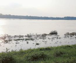 La piena è passata per Ficarolo