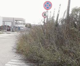 “Il nostro paese è nel degrado”