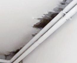 Incredibile: muffa e crepe in aula