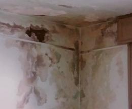 “Sulla Collodi solo falsi allarmismi”