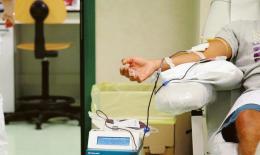 Allarme West Nile, donazioni limitate