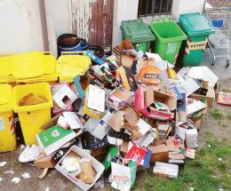 Nell’isola ecologica spuntano i topi