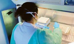 1.318 casi in Veneto