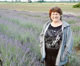 La lavanda &ldquo;spopola&rdquo; nel Delta