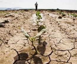 Polesine a rischio desertificazione: 48mila ettari a rischio di aridità